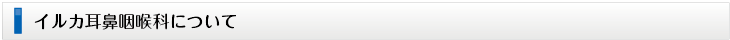 イルカ耳鼻咽喉科について